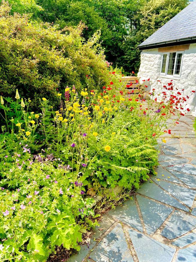 Beautiful Ancient Stone Cottage, Local Walks & Pub! Conwy Luaran gambar